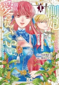 Sokuhi ni natta kedo, Betsu ni Aisanakute ii desu yo