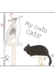 My cute cats !
