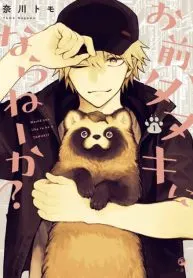omae tanuki ni naranai ka?