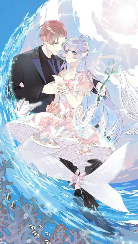 The Mermaid Wears a Dress